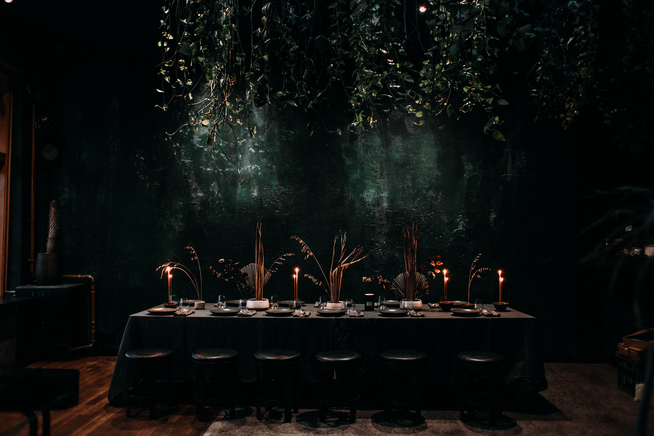 Image of high end seat with plants and dark background