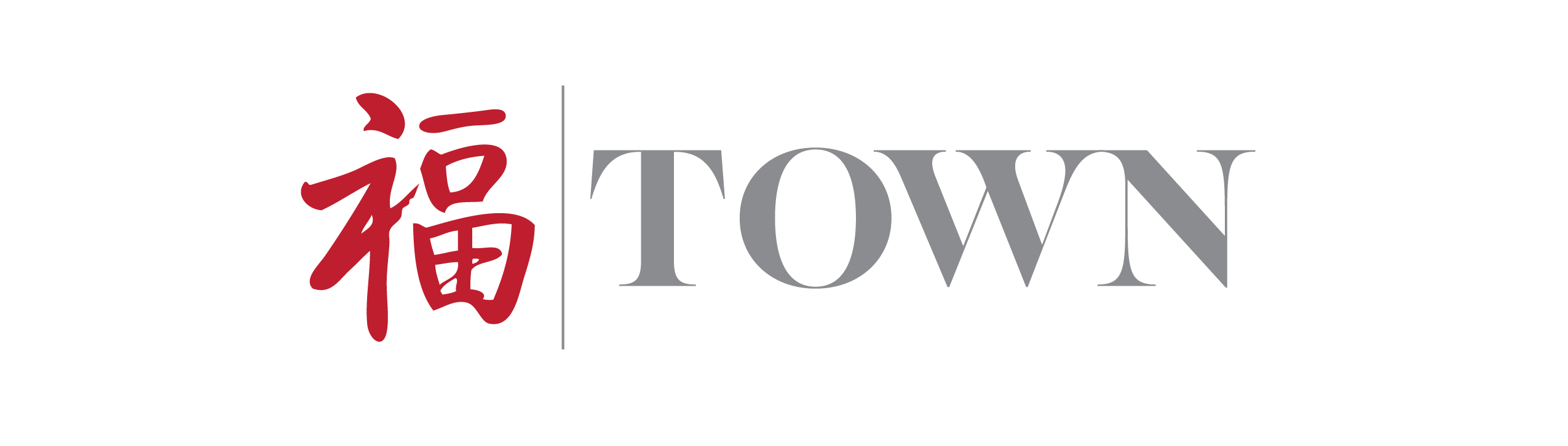 Town Cuisine logo image